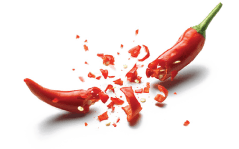 Popular Dishes Shape1 2